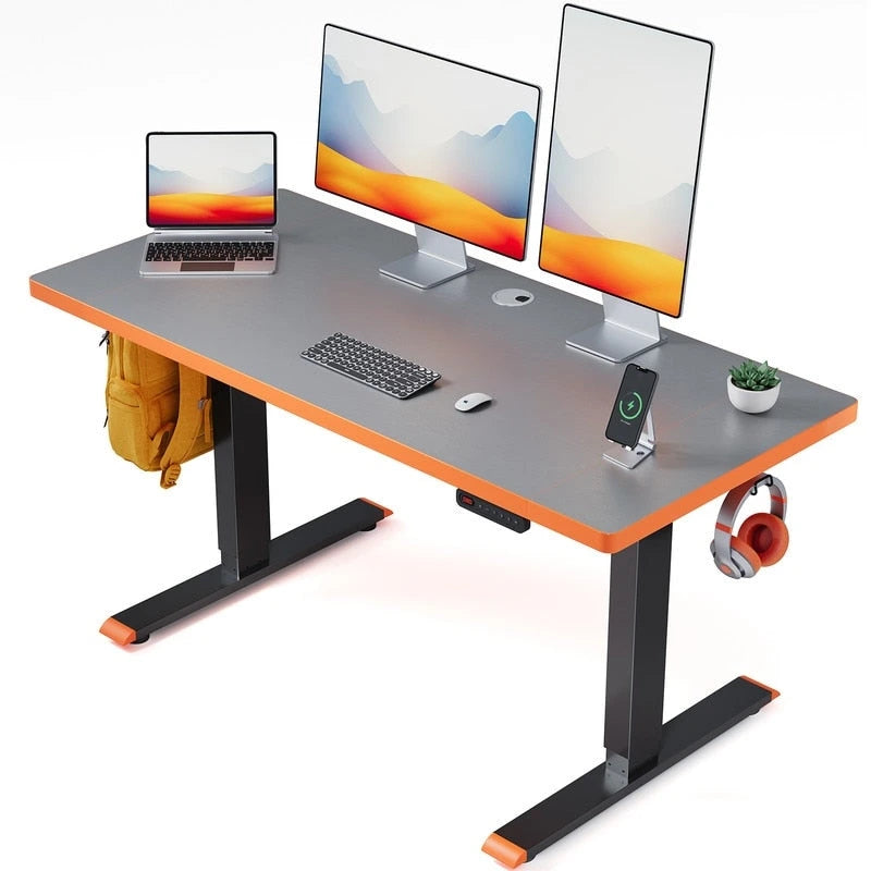 48x24 Zoll Elektrisch Höhenverstellbarer Schreibtisch