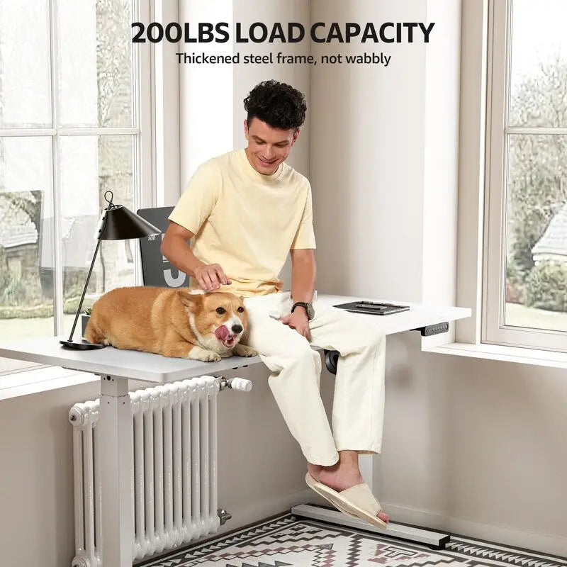 48x24 Zoll Elektrisch Höhenverstellbarer Schreibtisch